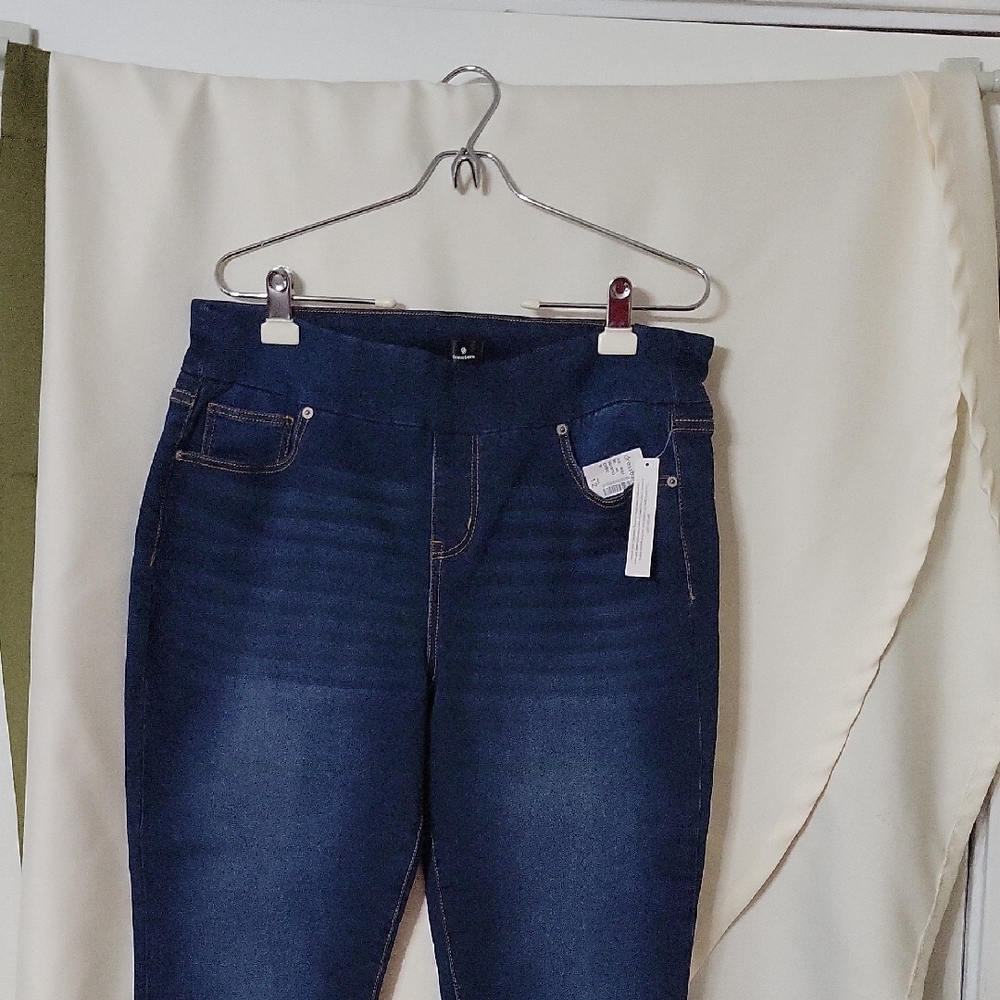 Dressbarn Blue Jeggings with Modern Stretch